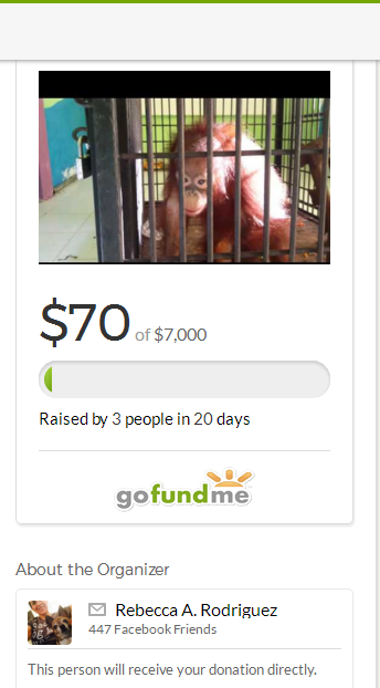 although states wanicare will receive money and oversee enclosure all donations go directly to rebecca