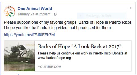 barks of hope fundraising video