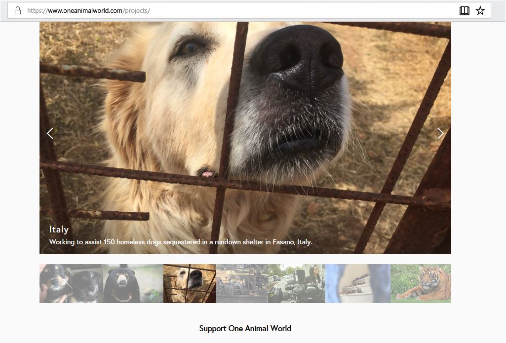 ONE ANIMAL WORLD PROJECTS IN ITALY CLAIMING SHE IS WORKING TO ASSIST 150 HOMESLESS DOGS