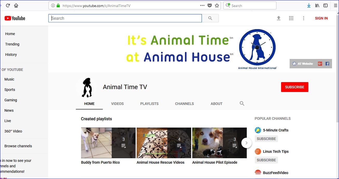 animal time is animal house