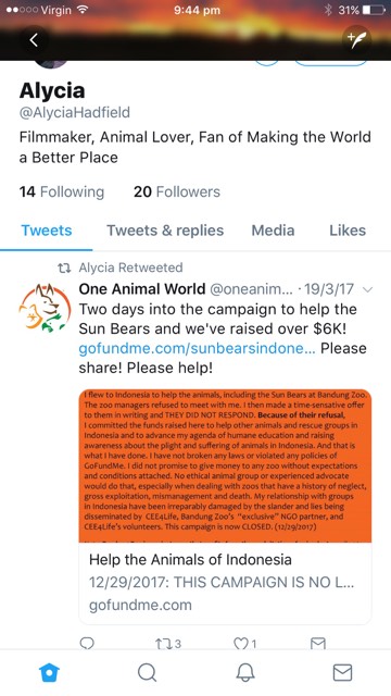 alycia tweeting proof campaign is for sun bears and animals of indonesia