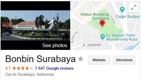 surabaya rated 4.1 on google reviews